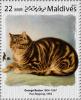 Colnect-6239-976--Puss-Napping--1856-by-George-Baxter.jpg