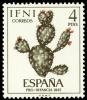 Colnect-1348-744-Pro-infancia-Opuntia-sp.jpg