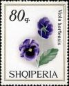 Colnect-1409-231-Pansy-Viola-tricolor-hortensis.jpg