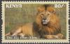 Colnect-4428-274-Lion-Panthera-leo.jpg