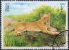 Colnect-978-716-Lion-Panthera-leo.jpg