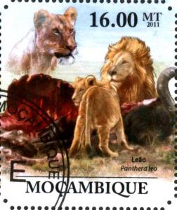 Colnect-3682-988-Lions-Panthera-leo.jpg