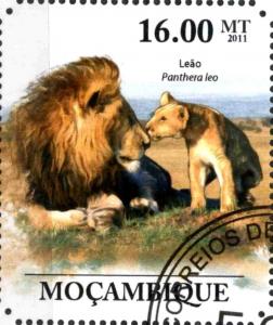 Colnect-3682-989-Lions-Panthera-leo.jpg