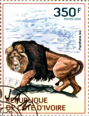 Colnect-3444-490-Lion-Panthera-leo.jpg