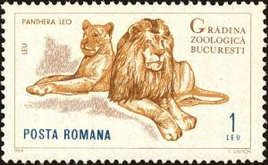 Colnect-5042-225-Lion-Panthera-leo.jpg