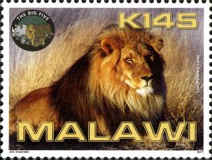 Colnect-5947-882-Lion-Panthera-leo.jpg