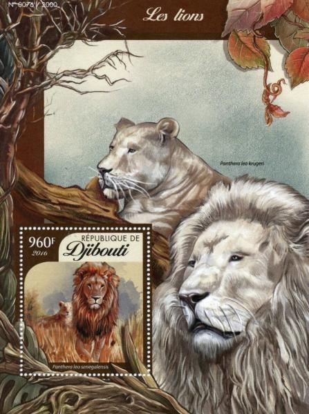 Colnect-4549-147-West-African-lion-Panthera-leo-senegalensis.jpg