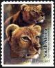 Colnect-2287-445-Lion-Panthera-leo.jpg