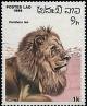 Colnect-748-723-Lion-Panthera-leo.jpg