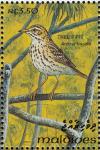 Colnect-1428-088-Tree-Pipit-Anthus-trivialis.jpg