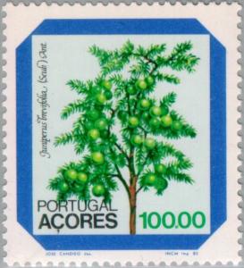 Colnect-185-954-Flower---Juniperus-brevifolia-Seub-Ant.jpg