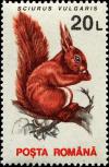 Colnect-4860-160-Red-Squirrel-Sciurus-vulgaris.jpg