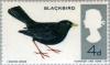 Colnect-4957-628-Common-Blackbird-Turdus-merula---Phosphor.jpg