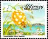 Colnect-5562-447-Orange-Ladybird-Halyzia-sedecimguttata-.jpg