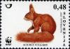 Colnect-712-528-Red-Squirrel-Sciurus-vulgaris.jpg
