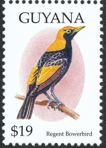 Colnect-3032-532-Regent-Bowerbird-Sericulus-chrysocephalus.jpg