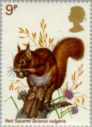 Colnect-122-065-Red-Squirrel-Sciurus-vulgaris.jpg