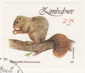 Colnect-1232-895-Red-Squirrel-Sciurus-vulgaris.jpg