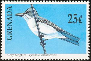 Colnect-2192-502-Grey-Kingbird-Tyrannus-dominicensis.jpg