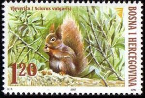 Colnect-779-998-Red-Squirrel-Sciurus-vulgaris.jpg