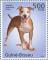 Colnect-5975-117-American-Staffordshire-Terrier-Canis-lupus-familiaris.jpg
