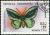 Colnect-953-344-Common-Green-Birdwing-Trogonoptera-priamus.jpg