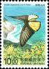 Colnect-4920-772-Magellan-Birdwing-Troides-magellanus.jpg