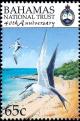 Colnect-3523-062-White-tailed-Tropicbird-Phaethon-lepturus-Sooty-Tern-Ste.jpg