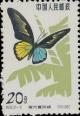 Colnect-487-251-Philippines-Birdwing-Troides-magellanicus.jpg