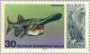 Colnect-155-350-American-Paddlefish-Polyodon-spathula-Iguanadon.jpg