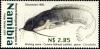 Colnect-2769-578-Broadhead-Catfish-Clariallabes-platyprosopos.jpg