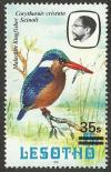 Colnect-3347-409-Malachite-Kingfisher-Alcedo-cristata-galerita.jpg