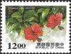 Colnect-3509-294-Hibiscus-rosa-sinensis.jpg