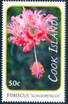 Colnect-4070-083-Hibiscus-schizopetalus.jpg