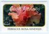 Colnect-4074-057-Hibiscus-rosa-sinensis.jpg