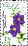 Colnect-5934-167-Clematis-Varieties-of-Poland.jpg