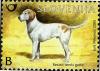Colnect-708-484-Fauna---The-Istrian-Rough-coated-Hound.jpg