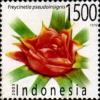 Freycinetia_pseudoinsignis_2003_Indonesia_stamp.jpg