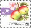 Stamps_of_Tajikistan%2C_001-05.jpg