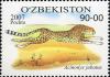 Stamps_of_Uzbekistan%2C_2007-45.jpg