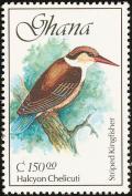 Colnect-1459-764-Striped-Kingfisher-nbsp-Halcyon-chelicuti-.jpg