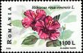 Colnect-4582-955-Hibiscus-rosa-sinensis.jpg