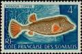Colnect-805-857-Yellow-Boxfish-Ostracion-tuberculatus.jpg