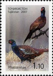 Stamps_of_Tajikistan%2C_015-07.jpg