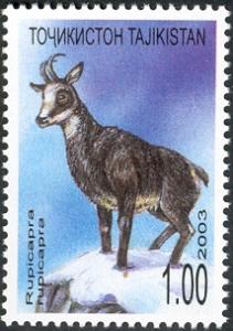 Stamps_of_Tajikistan%2C_023-03.jpg
