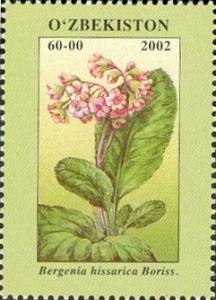 Stamps_of_Uzbekistan%2C_2002-03.jpg