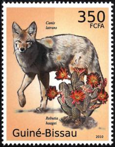Colnect-5334-438-Coyote-Canis-latrans-Rebutia-haagei.jpg