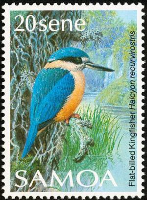 Colnect-1766-830-Flat-billed-Kingfisher-Todiramphus-recurvirostris.jpg