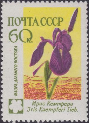 Colnect-1868-605-Iris-Iris-Kaempferi.jpg