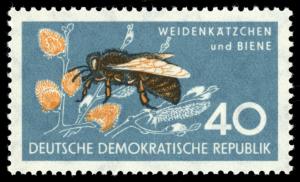 Colnect-1970-744-Western-Honey-Bee-Apis-mellifera-Pussy-Willow-Salix-capr.jpg